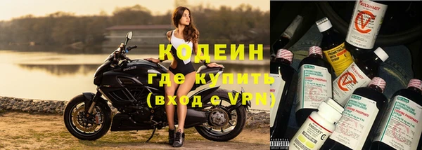 таблы Бородино