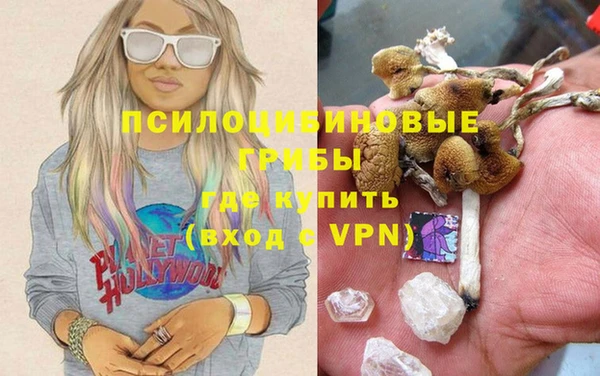 таблы Бородино